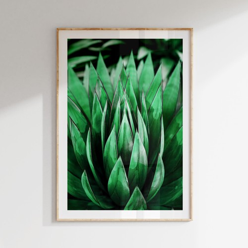 Botanical tropical leaves wall - botanical,