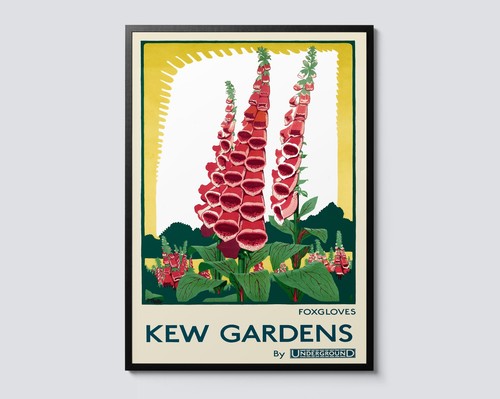 Kew gardens foxgloves vintage - gardens,