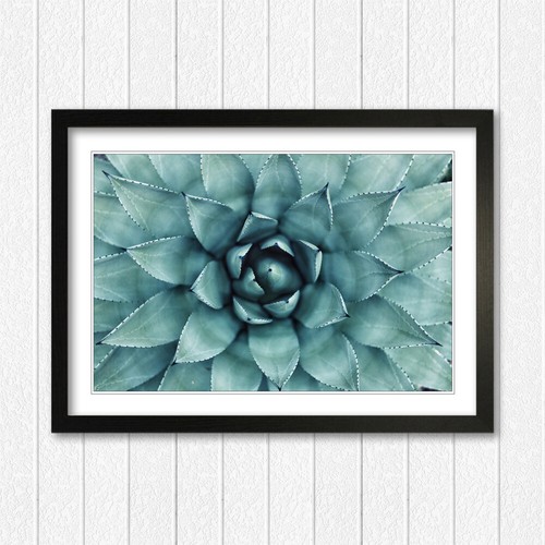Canvas wall art print - canvas,
