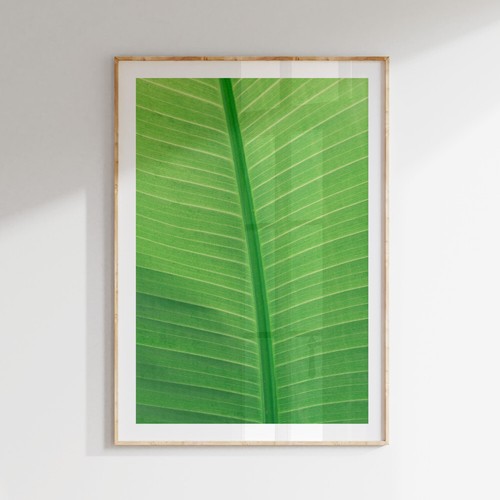 Botanical tropical leaves wall - botanical,