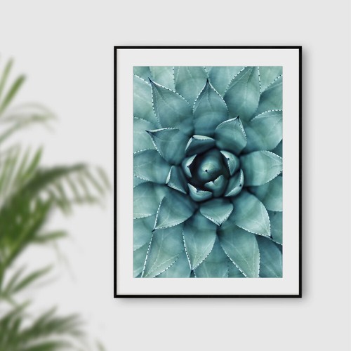 Green botanical succulent wall - green,