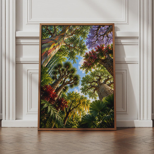 Tropical forest canopy - tropical,