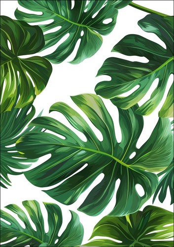 Green monstera leaves home - green,