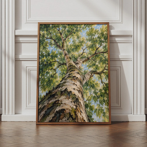 Looking tree canopy poster - tree,