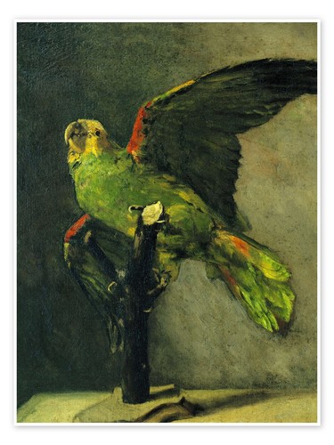 The green parrot van gogh - the,