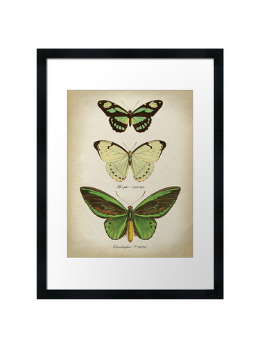 Green butterflies framed wall - green,