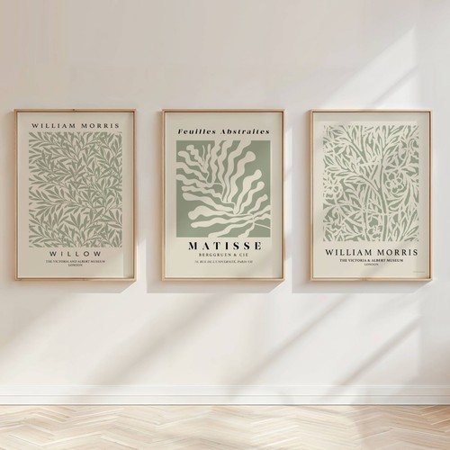 Set matisse william - set,