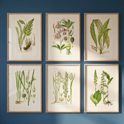 Set woodland fern art - of,
