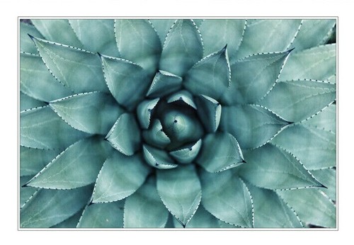 Canvas wall art print - art,