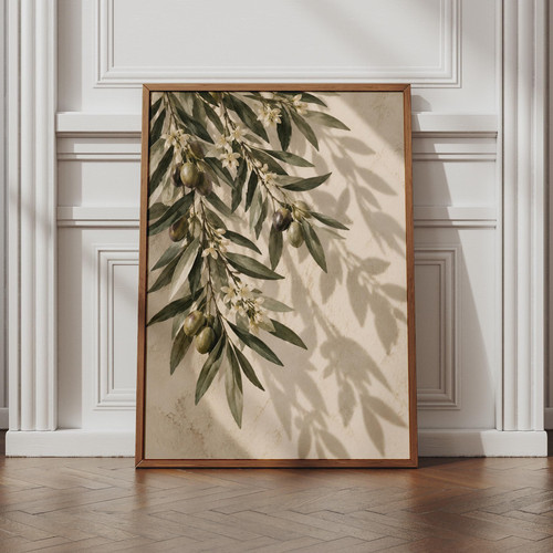 Olive branch botanical - olive,
