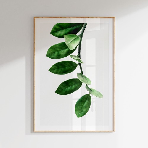 Botanical tropical leaves - tropical,