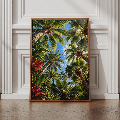 Tropical palm tree - palm,